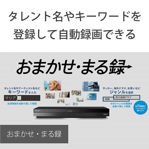 SONY（ソニー） HDD内蔵ブルーレイディスクレコーダ 2チューナー／2TB ...