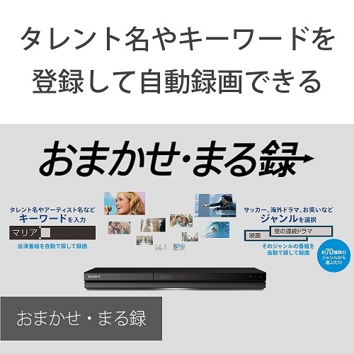 SONY（ソニー） HDD内蔵ブルーレイディスクレコーダ 2チューナー／1TB｜BDZ-ZW1800｜[通販]ケーズデンキ