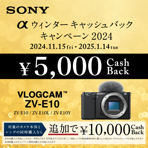 SONY（ソニー） デジタル一眼カメラ α（アルファ）VLOGCAM ZV-E10｜ZV-E10Y BQ｜[通販]ケーズデンキ