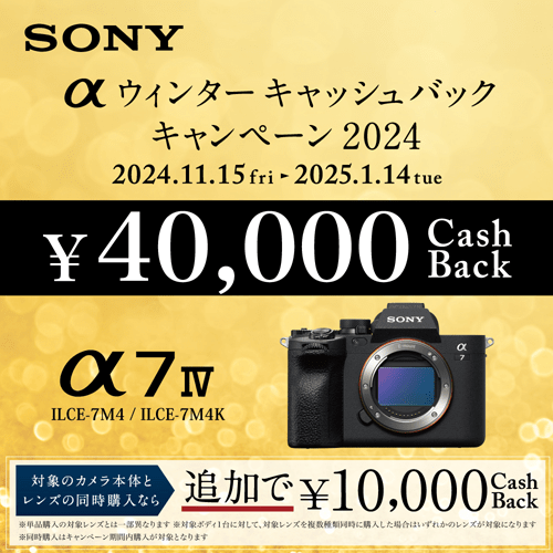 SONY（ソニー） ソニー 小型一眼カメラ ボディ α7 Ⅳ｜ILCE-7M4｜[通販]ケーズデンキ