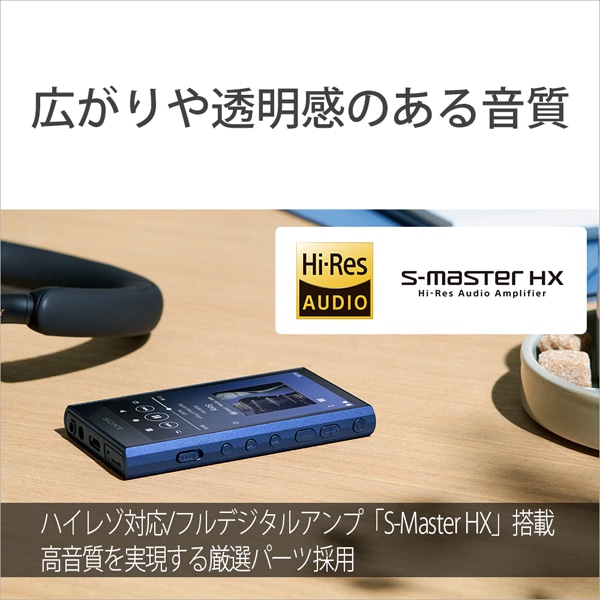 SONY（ソニー） ウォークマン A300シリーズ｜NW-A306 L｜[通販 ...