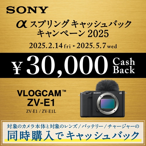 SONY（ソニー） 小型一眼カメラ VLOGCAM ZV-E1｜ZV-E1 W｜[通販 