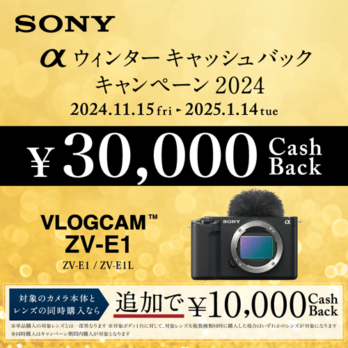 SONY（ソニー） 小型一眼カメラ VLOGCAM ZV-E1｜ZV-E1L W｜[通販]ケーズデンキ