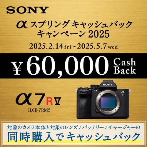 の公式オンラインストア SONY α7RV(バッテリー+2つ、ワイド保証付き 