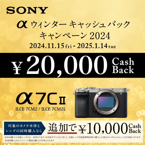 SONY（ソニー） デジタル一眼カメラ α7C II｜ILCE-7CM2 B｜[通販]ケーズデンキ