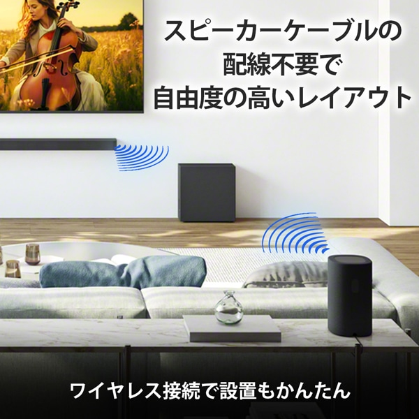 SONYi\j[j AXs[J[@BRAVIA Theatre Rear 8 SA-RS8
