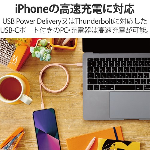 GR USB-C(TM) to LightningP[u(X^_[h) U2C-APCL10DR
