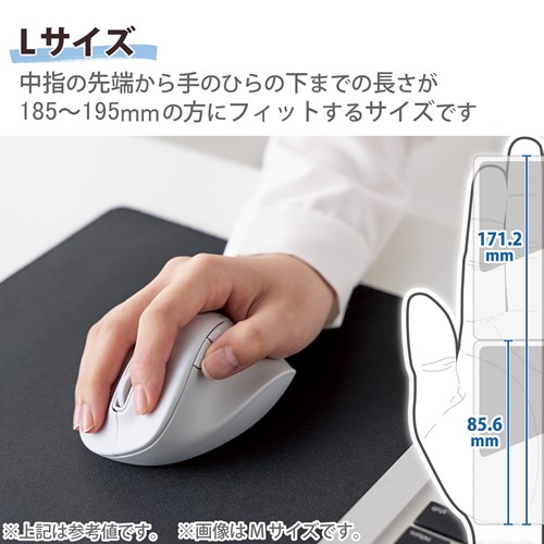 GR Bluetooth  }EX É CX}EX 5{^ LTCY M-XGL30BBSKWH