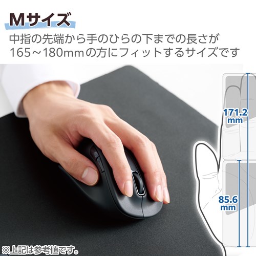 GR  }EX É CX}EX 5{^ p MTCY M-XGM31DBSKBK