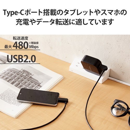 GR ^CvC P[u USB A to Type C 2m XCORlN^ MPA-ACSW20BK