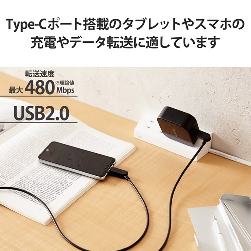 GR ^CvC P[u USB Type C to Type C 1.2m MPA-CCSW12BK