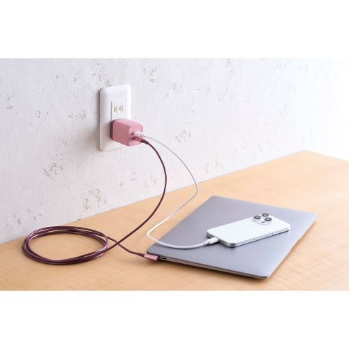 GR ILMF Hi-Speed USBP[u@iUSB Type-C - USB Type-Cj U2C-CCL20NPN-IL
