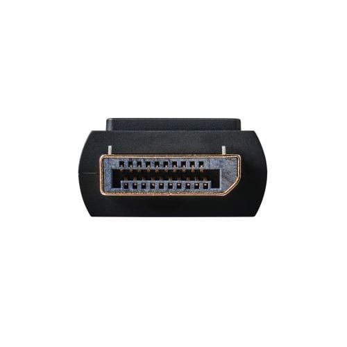 GR USB Type-C(TM) - DisplayPort(TM)ϊP[u CAC-CDP10BK2