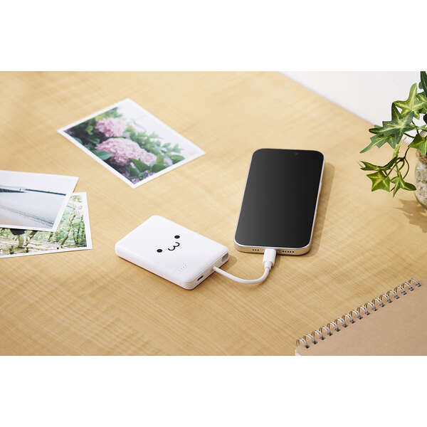 GR USB Type-C(TM)P[ũoCobe[(5000mAh/12W) DE-C62-5000WF