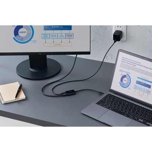 �G���R��&nbsp;USB Type-C(TM)�ϊ��A�_�v�^�[ 2�|�[�g/PD�[�d�t��&nbsp;AD-C2CPD100BK