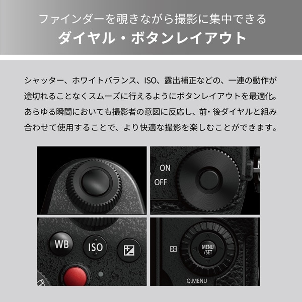 Panasonicipi\jbNj ~[XJ@LUMIX G99U@{fB DC-G99M2