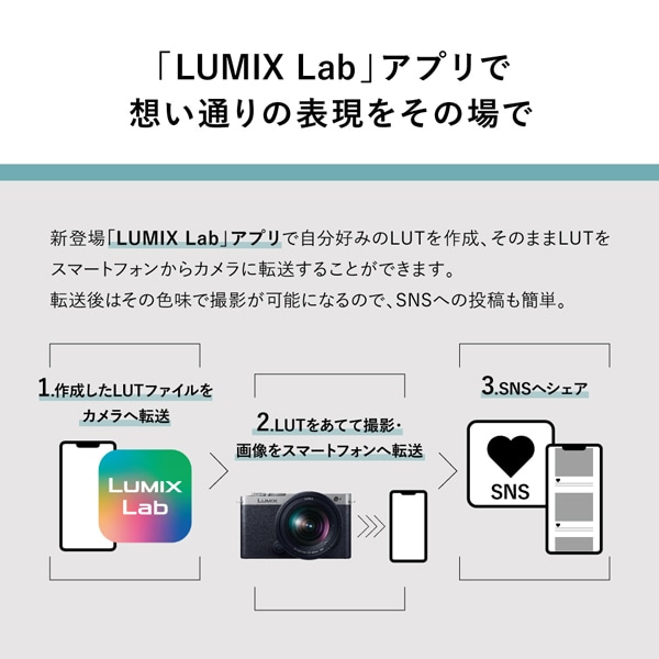 Panasonicipi\jbNj tTCY~[XJ@LpY[YLbg@LUMIXi~bNXj S9 DC-S9N-N