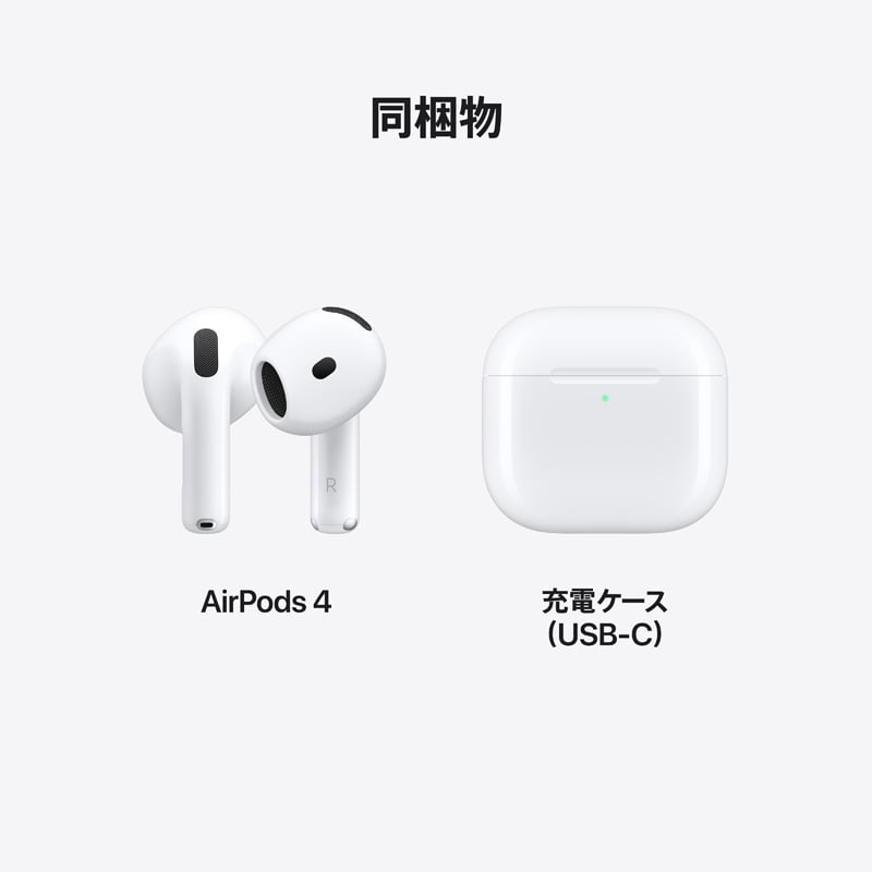 ケーズデンキ apple 安い イヤホン