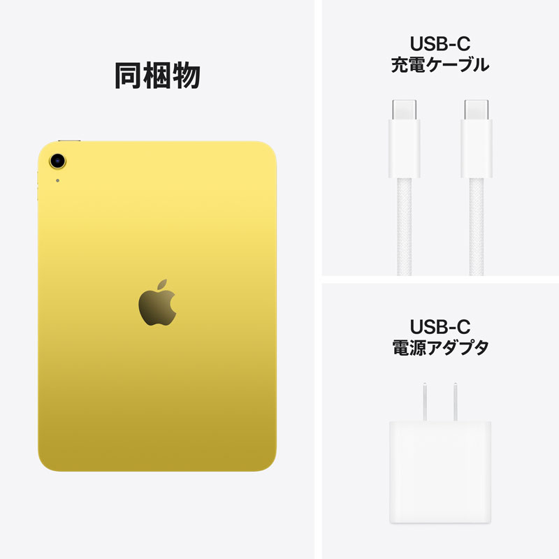 AppleiAbvj 11C`iPad iA16j Wi-Fif 256GB MD4J4J/A