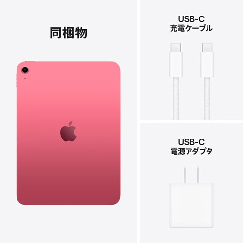 AppleiAbvj 11C`iPad iA16jWi-Fi + Cellularf 256GB MD7N4J/A