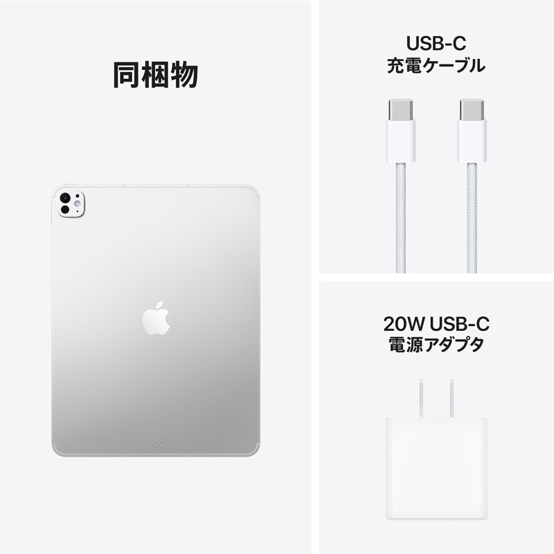 新品　iPadPro13インチ第1世代256GB ＋ApplePencil 13インチiPad Pro Wi‑Fi + Cellularモデル 256GB（標準ガラス