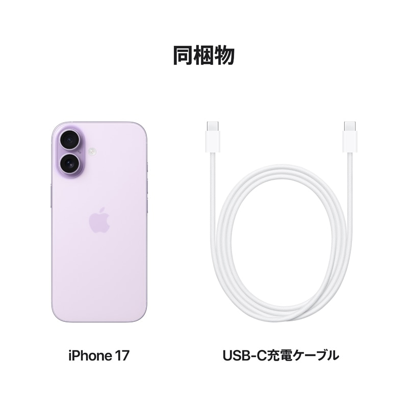 AppleiAbvj iPhone 17 256GB MG6A4J/A