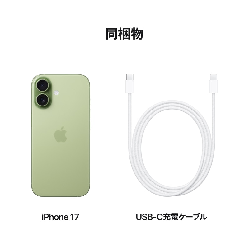 AppleiAbvj iPhone 17 256GB MG6C4J/A