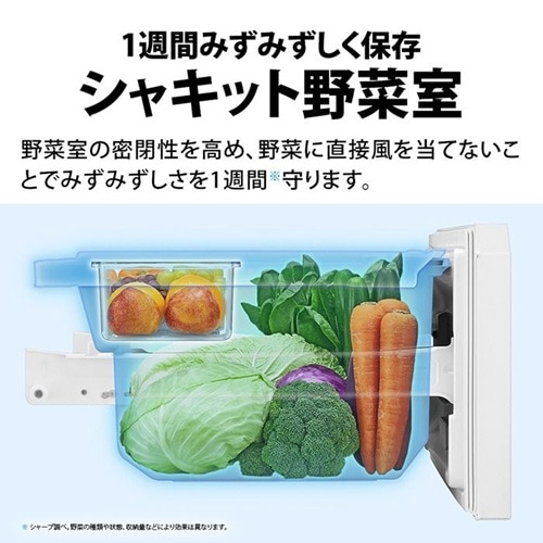 SHARPiV[vj 3hA vY}NX^[① SJ-PT32R-H