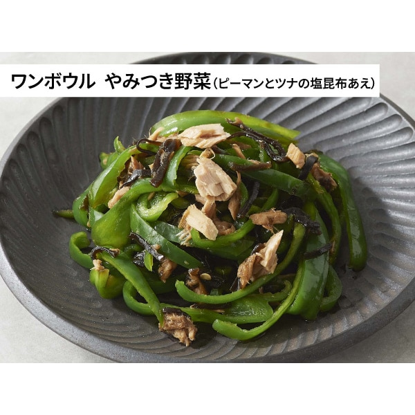 Panasonic�i�p�i�\�j�b�N�j&nbsp;�P�@�\�����W�@�r�X�g��&nbsp;NE-FB2D-K