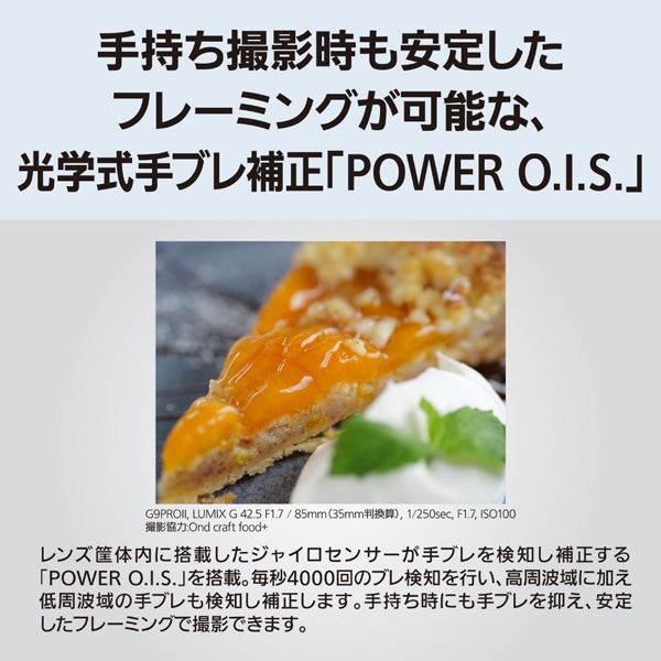 Panasonic�i�p�i�\�j�b�N�j&nbsp;�����p�����Y�@�}�C�N���t�H�[�T�[�Y&nbsp;H-HS043A-S