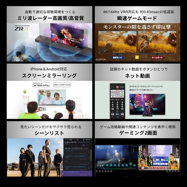 リンゴページ REGZA（レグザ） 65V型 4Kチューナー内蔵液晶テレビ RGB Mini LED液晶