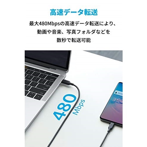 ANKER PowerLine III USB-C to USB-C 100W 2.0 Cable (1.8m