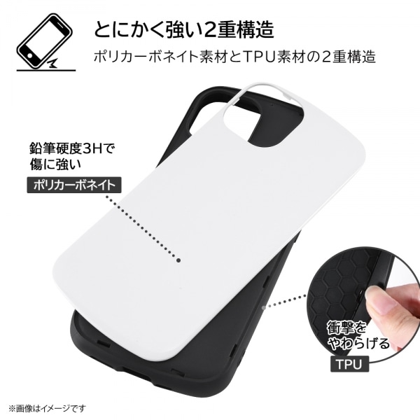 CAEg iPhone 14/13pP[X RT-DP36AC3/PO2