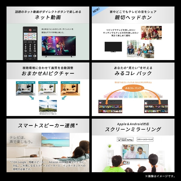 REGZAiOUj 50V^@4K`[i[ter@4KtOU@M5 series  M550R 50M550R