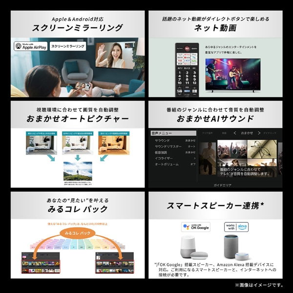 REGZAiOUj 65V^@4K`[i[ter@4KtOU@E3 series  E350R 65E350R