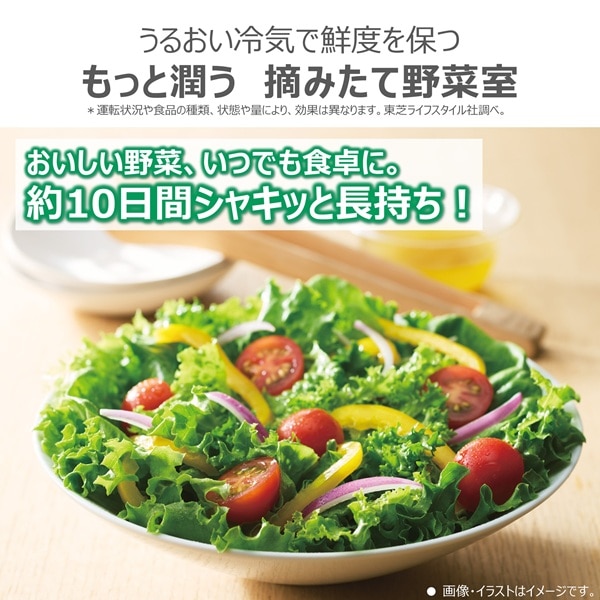 ���ŁiTOSHIBA�j&nbsp;5�h�A�①�Ɂ@VEGETA�i�x�W�[�^�j�@GT�V���[�Y&nbsp;GR-A500GT(TH)