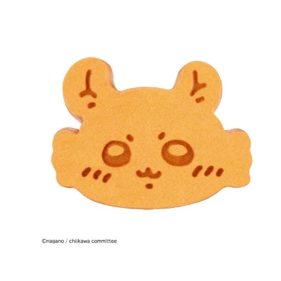 CCP�i�V�[�V�[�s�[�j&nbsp;���񂪂肫���}���`�T���h���[�J�[�P�[�L�p�v���[�g&nbsp;EX-4000-CCK