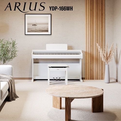 ���}�n&nbsp;�d�q�s�A�m�@ARIUS�i�A���E�X�j&nbsp;YDP-166WH