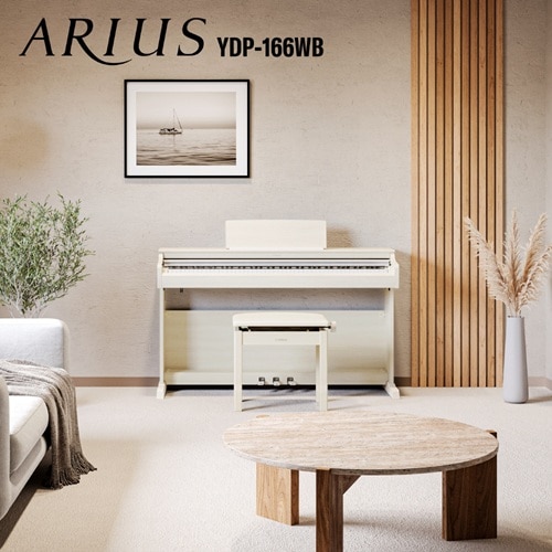 ���}�n&nbsp;�d�q�s�A�m�@ARIUS�i�A���E�X�j&nbsp;YDP-166WB