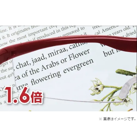 後払い手数料無料】 ハズキカンパニーハズキルーペﾊｽﾞｷﾗｰｼﾞ1.6xｶﾗｰﾚﾝｽﾞ 