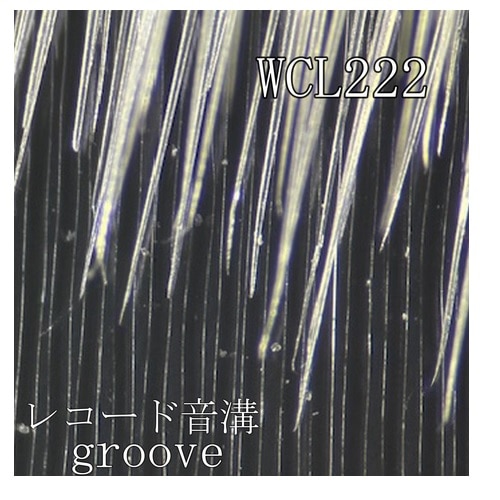 iKIJ Egt@CuV WCL222