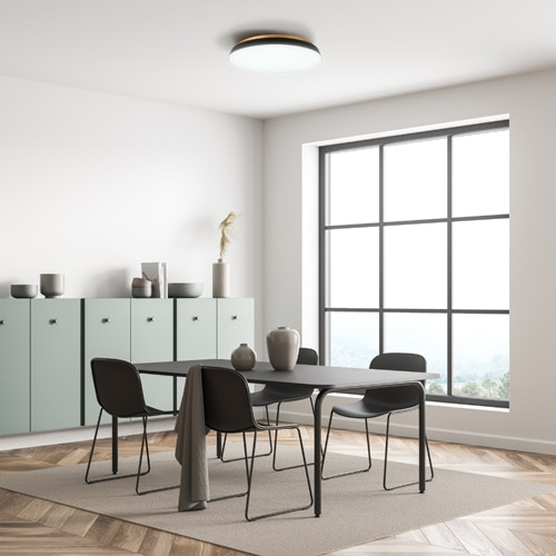 �X�����d��&nbsp;LED�V�[�����O���C�g�@TAIRA&nbsp;ACE-175BK