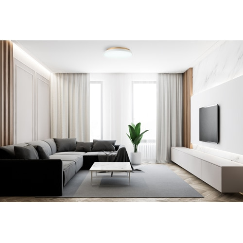 �X�����d��&nbsp;LED�V�[�����O���C�g�@TAIRA&nbsp;ACE-175WH