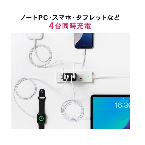TTvC USB PDΉAC[diPD65WEC×3{A×1j ACA-PD107BK