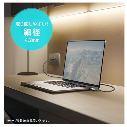 TTvC USB Type-C LANϊP[uiGigabitΉj KB-SL6CLAN01BK