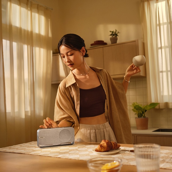 BOSE Bose SoundLink Home Bluetooth Speaker｜SLink Home BT SP