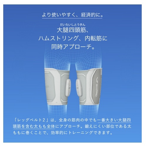 MTG&nbsp;SIXPAD ���b�O�x���g�Q�iLeg Belt 2�jS�]M�T�C�Y �R���g���[���[����&nbsp;SE-DE-14A-M