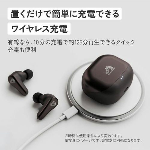 Victor�i�r�N�^�[�j&nbsp;���C�����X�C���z��&nbsp;HA-A110T-T