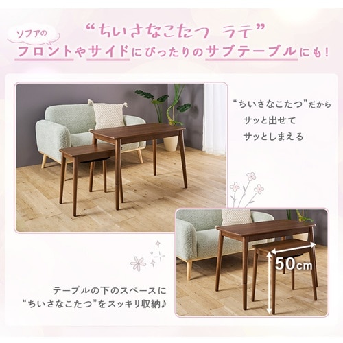 ATvCX Ȃuev 530F(BR)