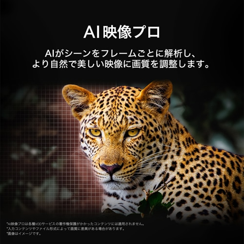 LG 48V^@4K`[i[L@ELer@LG OLED evo AI C5@YouTubeΉ /NetflixΉ OLED48C5PJA